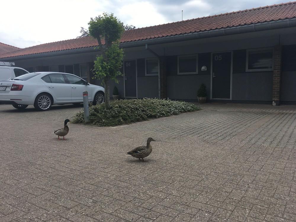 Christiansminde Ξενοδοχείο Svendborg Εξωτερικό φωτογραφία